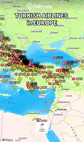 @Turkish Airlines #turkishairlines #turkish #turkey #istanbul #foryou #aviation #airplane #goviral #foryoupage @