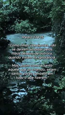 Tornando-se Santos: 1Pedro 1:14-15 fala sobre Obediência e Santidade! #palavradedeus#frases#oração#pedro#santidade