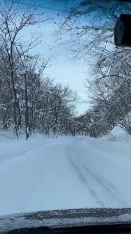 Road trip Biei เช่ารถขับ เมืองบิเอะ @Japan  Location : Biei (美瑛), Hokkaido 🇯🇵 #biei #furano #roadtrip #winter #hokkaidodiary  #日本  #美瑛   #หิมะ   #japan #japantravel #japantourism #japantour #japangram #japanexplore #japantiktok #traveltiktok #visitjapan #japanvibes #japanlife #เที่ยว #เที่ยวญี่ปุ่นด้วยตัวเอง #เที่ยวญี่ปุ่น #ญี่ปุ่น #เทรนด์tiktok #เทรนด์วันนี้ #tiktokพาเที่ยว #2023  @Map with Me  @Map with Me  @Map with Me 