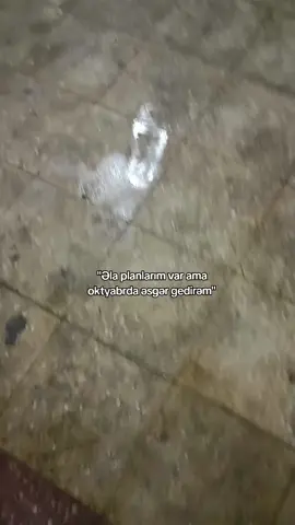 Hansı prizivsiz?💂🏼‍♀️#keşvetttttt #fyp3566m #kəsvet #fyp #fypシ 