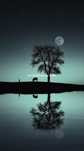 Broken angel #brokenangel #slowedsongs #fyp #viral 