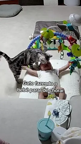 Gatos e bebês juntos são muito fofos #animal #animais #animaisfofos #gatos #gatinhos #gatinhosfofos #fofo 