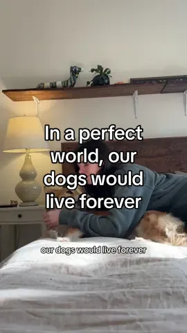 In a perfect world, our dogs would live forever 