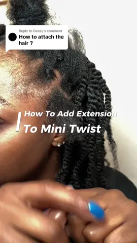 Replying to @Dessy  this took me about 3 hours to do, loving this protective hairstyle #minitwistextensions #minitwist4chair #fyp 