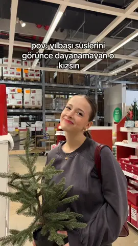 Yılbaşı planınız neee