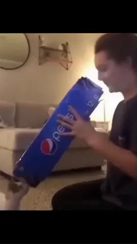 Funny animals Part 20 😂😂#funny #animal #videos #animals #funnyanimals #dog #cat #pet 