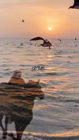 #امراة_قوية #كوني_قوية 
