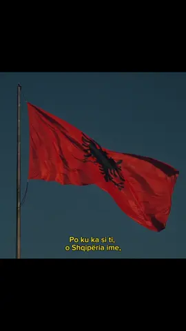 ❤️ #fyp #foryoupage #ditaeflamurit #28nentori #kuqezi #ramelahaj #albania #shqiperia #kosova #albanianflag #flamurikuqezi 