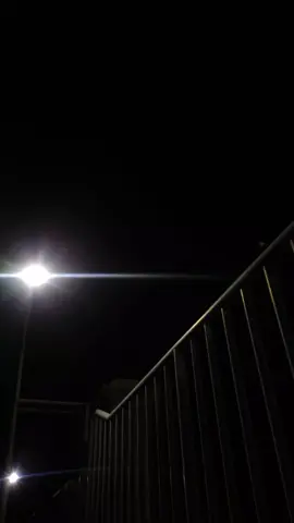 Punahkah?/Hilang?! #romythejahat #romyandthejahat #sudahpunah #rtj #fyp #lyric #musik #literasi #punk #punksnotdead #punkrock #kautetappunk #storywa #lirikstory 