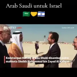 Arab Saudi & Israel kerja sama 🇮🇱🤝🇸🇦 #fyp  #israel  #arabsaudi 