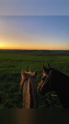 Hermosa canción 😍 #joroposaboryllano #joropodevenezuela🇻🇪 #joropollanero #joropoparaelmundo #joropo #carlosguevara #carlosguevara🇻🇪 #llano #llaneras #musicallanera #llanosorientales #llanera #llanerasvenezolanas🇻🇪 #llanerasvenezolanas #musicallaneravenezuela #musicallaneramiami #musicallaneracolombia #musicallaneraoficial #prisionerodetusbesos #llanerasromanticas #llanerasrománticas 