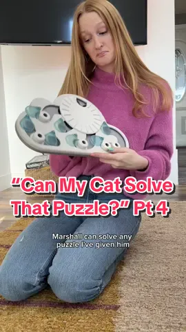My cat Marshall tries solving the worlds hardest cat puzzle and shocks us all 😳 #sphynx #hairlesscat #pets #foodpuzzle #genius #catsoftiktok 