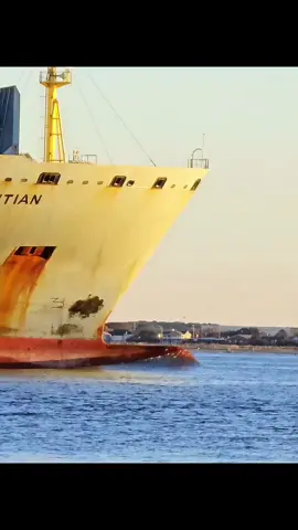 BOW WAVE ACTION 🌊#ship  #containership #sea #waves #sealife #ocean #oiltanker #cargoship #instaship 