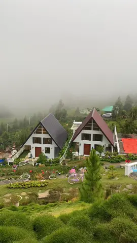 beyond the fog lies clarity #fyp #mindanao #davaodelsur #bansalan #sirpedscoffee #havensdewresort #twinmountainviewresort 