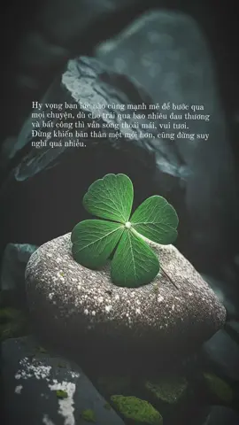 Nếu gặp khó khăn thì hãy cố gắng vượt qua, vì mọi thứ trên đời này, điều được an bài hết rồi. #sốngannhiên🍀 