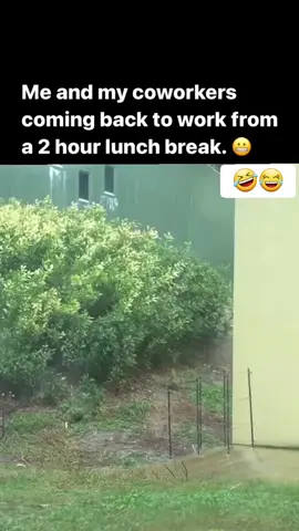 Coming back to the office after a 2 hours lunch break🤣😂 #coworkers #colleagues #lunchbreak #lunch #lunchtime #work #backfrombreak #funny #funnyvideos #fyp #foryou #foryourpage 