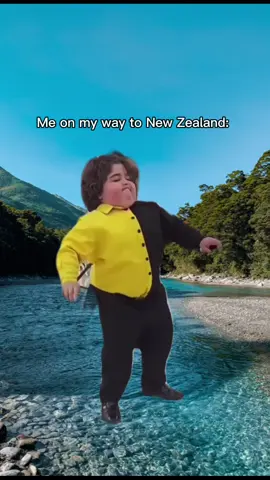 This is your sign to visit New Zealand!😍🇳🇿#Meme #MemeCut #discovernewzealand #newzealand #traveltiktok #travel #newzealandtiktok 