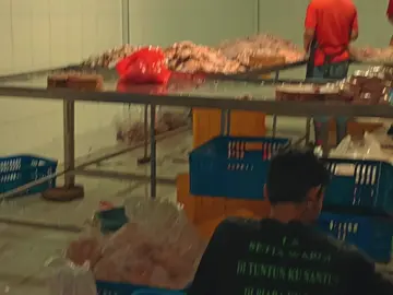 selagi mimpi itu gratis #boneless chicken recipe ideas #edenbroiler #ayambroiler #pemburuhayambodas #capcut #brandafypシ 