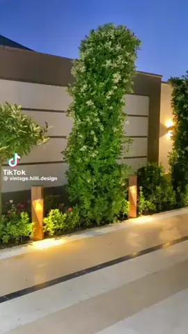 @VINTAGE HILLI DESIGN #Mary #Balkan #Dasoguz #Lebap #Ahal #Asgabat #landscape #landscapedesign #peyzaj #peyzajçevredüzenleme #Agaç #baglar 