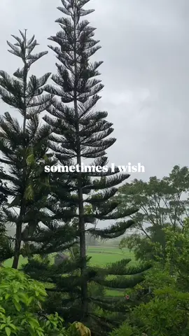 bLue jEans. #gangga #bluejeansgangga #liriklagu #desember #hujan #hujandibulandesember #rintiksedu #rintikhujan #templatelirik #hujan #fyp #semuabisa #CapCuthq #templatetrend #fypp #playlist 