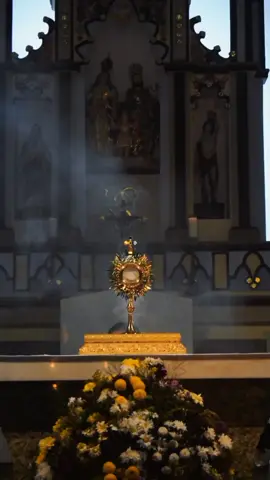 Mística Sublime ❤️ #Jesus #santissimosacramento #eucaristia #igrejacatolica #catolicostiktok 