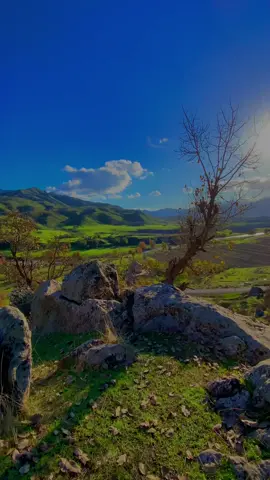 #srushti_kurdstan #davari_bradost 