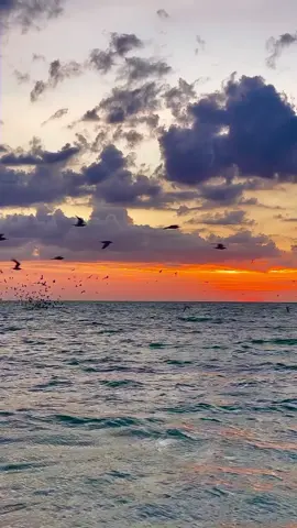 #beach #nicescenery #naturescenery #naturebeauty #naturelover #niceview #stunning #relaxing #longervideos #livewallpaper #videobackground #trending #viraltiktok #foryoupage #foryou 