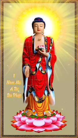 Trì Niệm 108 Biến Nam Mô A Di Đà Phật - Thầy Thích Trí Thoát Niệm #nammoadidaphat 