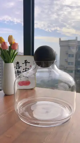 Come and make your own water plant tank, which can be placed anywhere in your home.#foryou #aquariums #foryoupage #fishtanks 