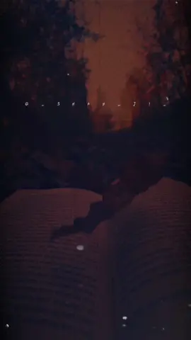 Because I Am Not So Good (@SAHIBZADA WAQAR(Urdu_Poetry) #shah_ji_❤️ #urdu #english #words #lines #foryou 