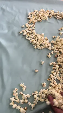 Yet another photoshoot idea 🥰 We enjoyed this one so much ❤️ #baby #photoshootidea #milestoneshoot #9monthe #fyp #babiesoftiktok #tiktoksouthafrica 