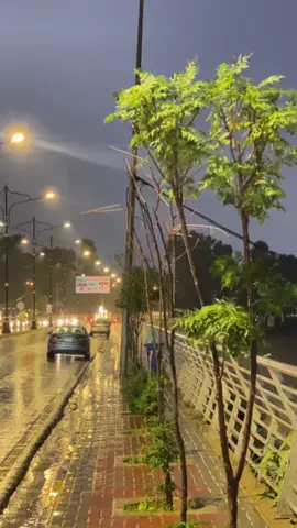 اجواش الشتاء مطر⛈️🫶 #الموصل #كورنيش #اوبروي #الغابات #اجواء #الشتاء #مطر #راحة_نفسية #هدوء #ليالي #الموصل_ام_الربيعين 