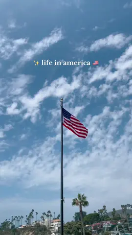 When life feels like a movie ✨🇺🇸  #usa #amerika #americanaaesthetic #americandream #lifeinamerica #aesthetic 