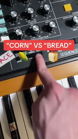 🌽 “CORN” VS “BREAD” 🍞  #corn #bread #cornbread #korn #song #electronicmusic #edm #synthesizer #fyp #foryou 