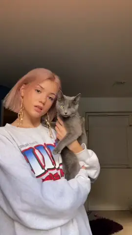 #onthisday meow