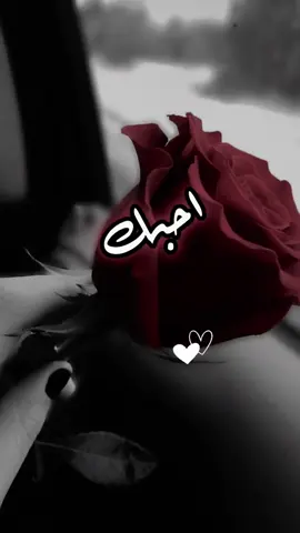 #عساك_في_دنيتي_تبقى❤️❤️ 