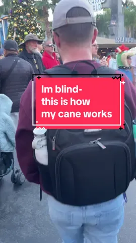 Navigate through the crowds with your blind friend (hi! 👋🏼) at Universal Studios Hollywood! Follow for more! ✅ #Accessibility: In this video, I am navigating through large crowds, and tight spaces on a sunny, but cool day in California. I am wearing a baseball hat, a maroon hoodie and a light pair of jeans. The camera angle is from behind me, so you can see the oncoming traffic, as well as my cane swiping in front of me.   