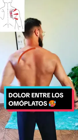 Dolor entre los omóplatos, dolor de espalda alta o dorsalgia? Entonces necesitas realizar este maravilloso ejercicio que hoy te presento En multitud de ocasiones, el dolor interéscapular o el dolor de espalda alta nacen de la baja o nula rotación torácica diaria Cuando no realizas ejercicios o movimientos que impliquen torsión torácica, tu región dorsal comienza a rigidizarse, y tus discos intervertebrales dorsales, empiezan a experimentar problemas para rehidratarse y nutrirse Es precisamente a través de la rotación, cuando tus discos intervertebrales se nutren gracias a un proceso conocido como difusión Por lo tanto, realizar ejercicios que impliquen rotación torácica, serán todo un acierto si lo que pretendes es abordar y prevenir el dolor entre los omóplatos, dolor de espalda alta o la dorsalgia #pablopilatesreal #dolordeespaldaalta #dolordorsal #dorsalgia #cervicobraquialgia #entrenamientoencasa #upperbackpain #fibromyalgia #rutinaencasa #consejosdesalud #consejosfitness #osteopatia #osteopata #wellness 