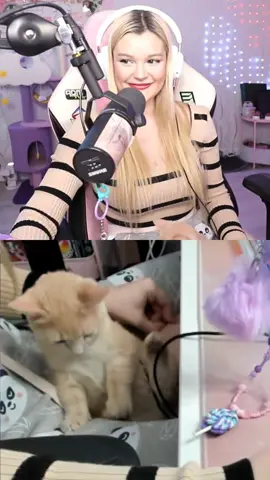 Descuido se le ve todo cuerpazo gogogo 🫣😅 #aroyitt #aroyittclips #streamer #cat #gatos #mascotas #pets #mascotastiktok #parati #fyp 