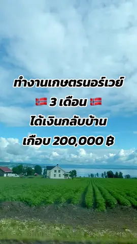 รีวิวงานเกษตรนอร์เวย์ 🇳🇴 จบในคลิปเดียว #คนไทยในนอร์เวย์🇳🇴🇹🇭 #ทํางานต่างประเทศ #นอร์เวย์🇳🇴 #รีวิวงาน