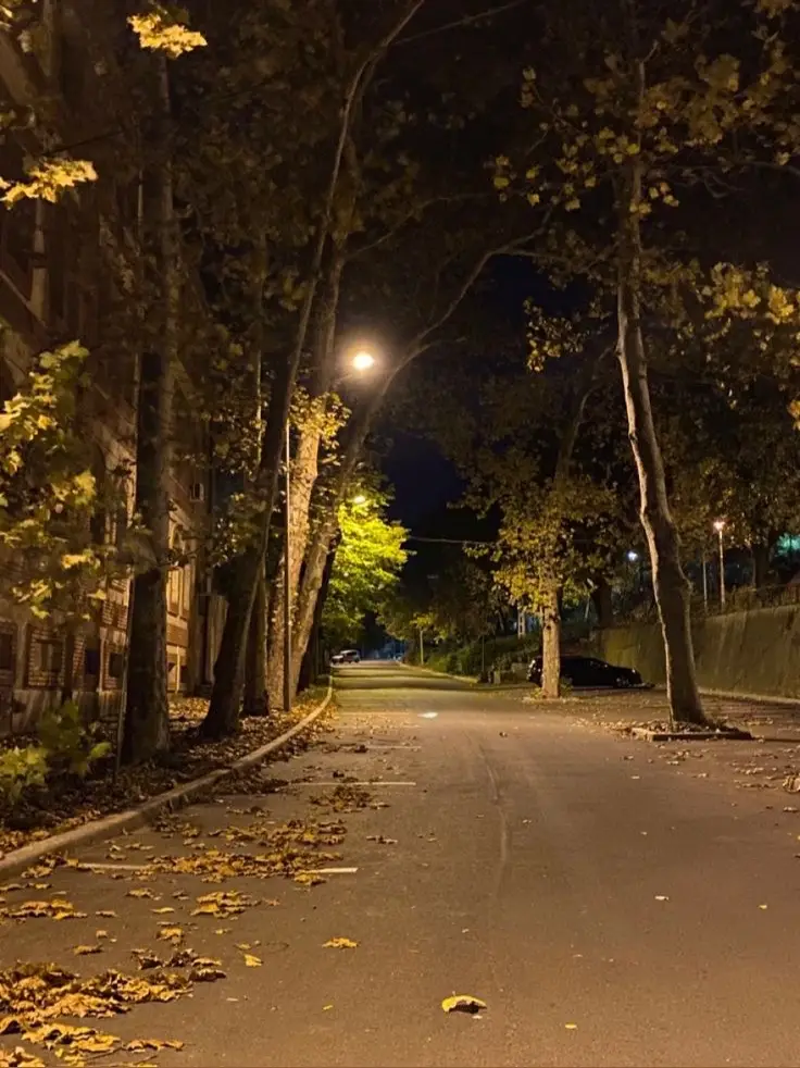 موسيقى حزينة  #موسيقى_هادئه  #موسيقى🎶   #موسيقى_تيك_توك   #موسيقى_تركية   #موسيقى_حزينة 