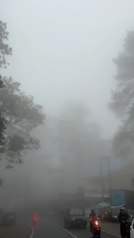 Siapa yang rindu suasana malino? Vibes malino setelah hujan Emang boleh sekabut ini 😄😄 #malino #gowa #hutanpinus #kabutmalino #healing #staycation #kabutvibes 