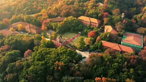 Vẻ đẹp của Đại học Chiết Giang khi vào thu#tiktok #xuhuongtiktok #tang_tang204 #xuhuong #duhoctrungquoc2023 #duhoctrungquoc🇨🇳 #大学生 #大学 #浙江大学