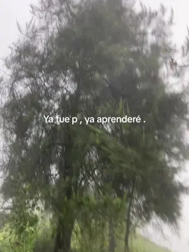 #foryou #viral #viralvideo #fyppppppppppppppppppppppp #estadosparawhatsapp #yafue #p 