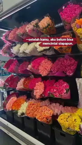 #quotes #gamon #galaubrutal #fypシ #xyzbca #sadstory #fypage #4u #a 