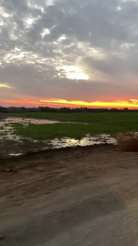 #ناصر_عباداني #شتريد_ياليل_البعد_مانحمل_الأه💔😔😭 #جنوب #الناصرية #شطرة_مدينتي #ريف#اجواء_الشتاء #لايك__explore___ #متابعه_ولايك_واكسبلور_فضلا_ليس_امر 