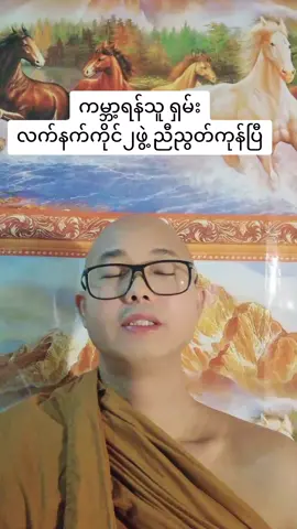 #ရှမ်းပြည် #rcss #sspp 