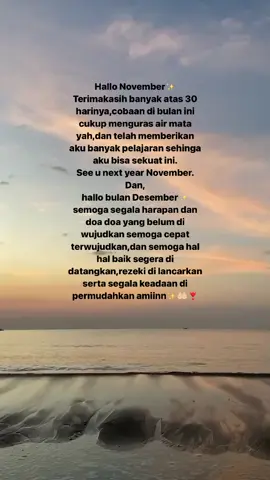 Terimakasih atas 30 harinya✨❤️#seeunovember #welcomdecember #fyp 