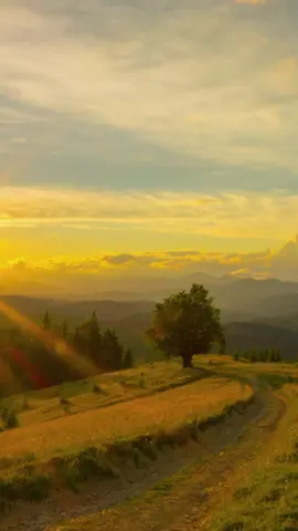 Track: Hopeful - Dramatic and emotional music for videos, cinematic, films. #hopeful #emotional #cinematic  #ashamaluevmusic #background