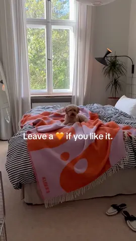 Our Klekks No. 8 @Lockecici 🧡💜🧡  #decke #plaid #blanket #oversizedecke #canva #art #artprint #colorfulliving #living #wohnen #interior #interiordesign  #cornersofmyhome #interiør #interiorinspo #cozyhome #solebich #vintaseries #art #cornersofmyhome #howwelive #interior_and_living  #myhome #interiorforinspo #instainterior #nordicliving #interior2you #altbau #boligmagasinet #livingroominspo 